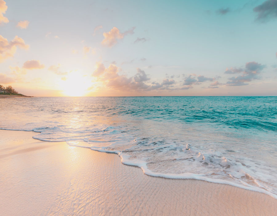 Örnek Video Bölümü (Opsiyonel)